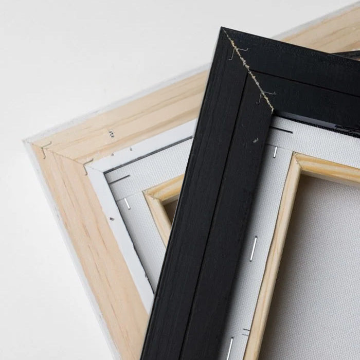 'Graceful Rose' framed canvas